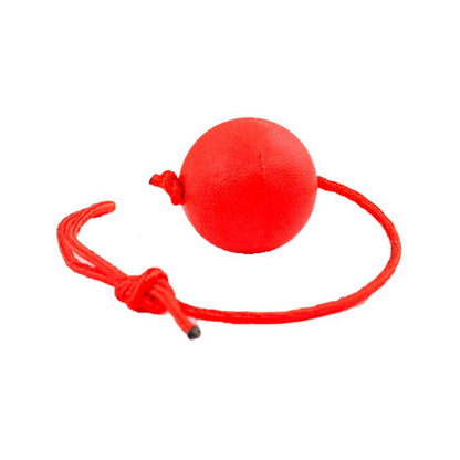 Balle pour Chien Indestructible Cordon