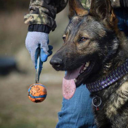 Balle pour Chien Chuckit