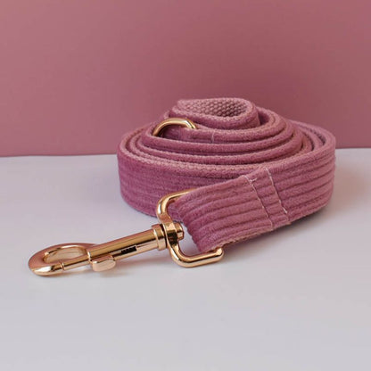 Laisse pour Chien Framboise