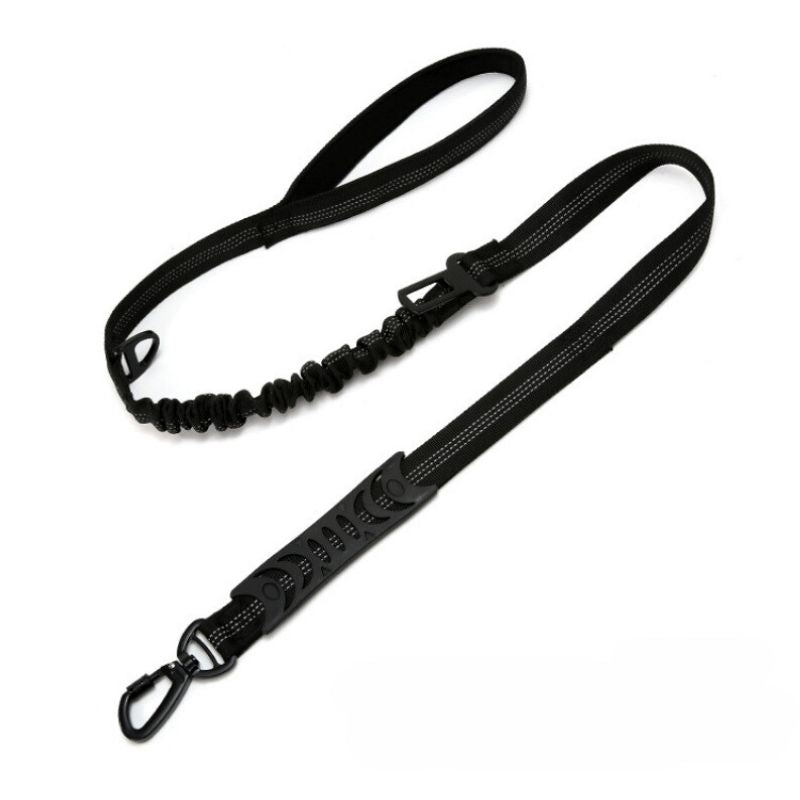 Laisse pour Chien Noir