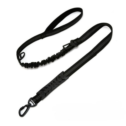 Laisse pour Chien Noir