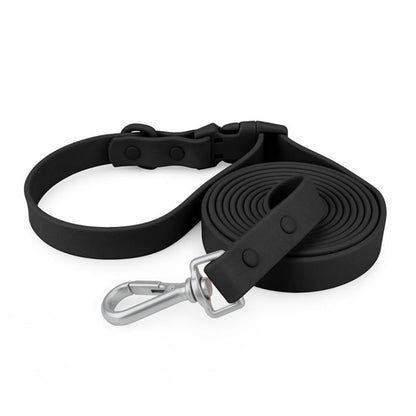 Laisse pour Chien Noir
