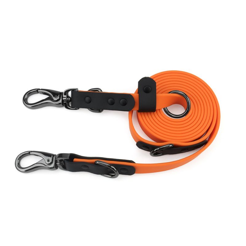 Laisse pour Chien