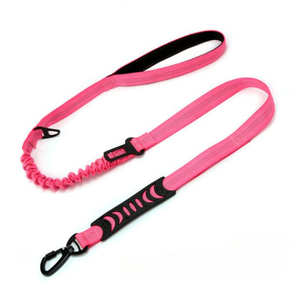 Laisse pour Chien