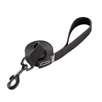 Laisse pour Chien