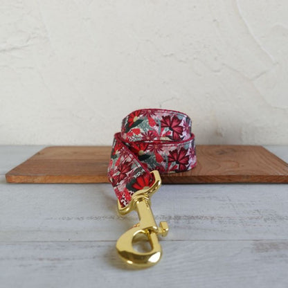 Laisse pour Chien Anissa
