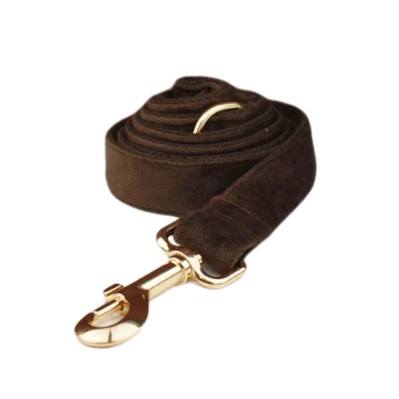 Laisse pour Chien Marron