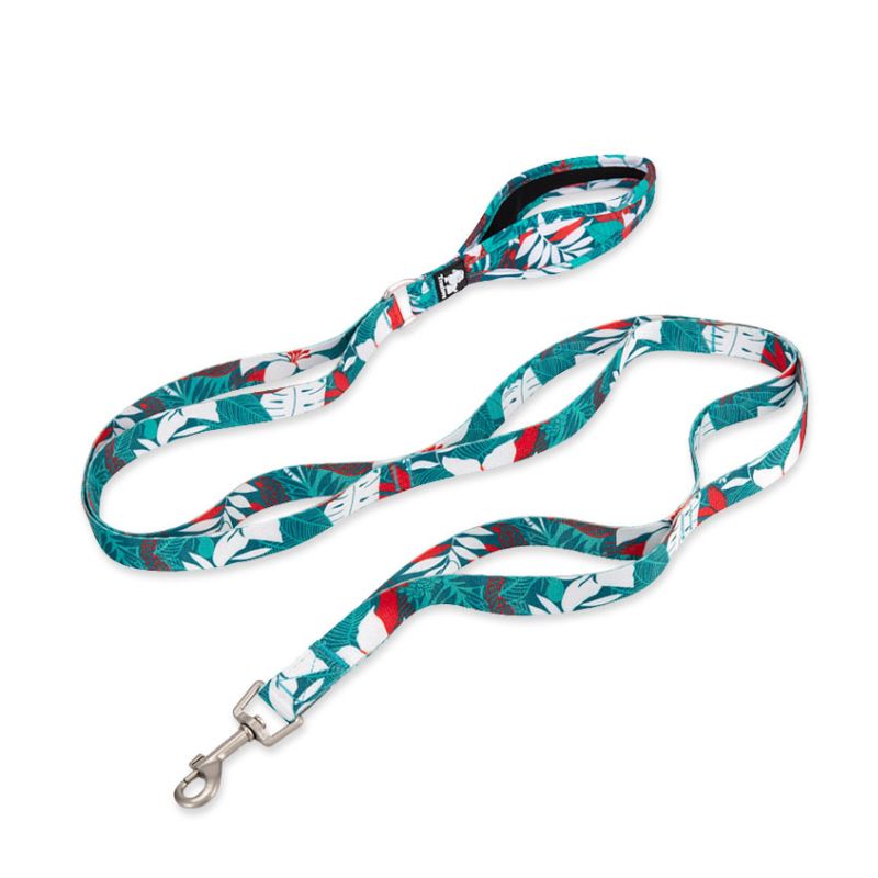 Laisse pour Chien