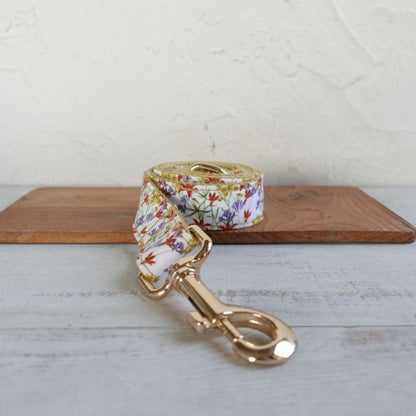 Laisse pour Chien Lys