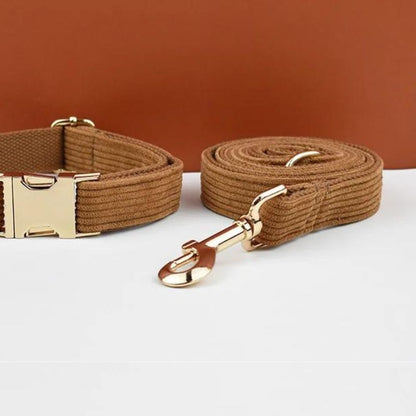 Laisse pour Chien Lucien