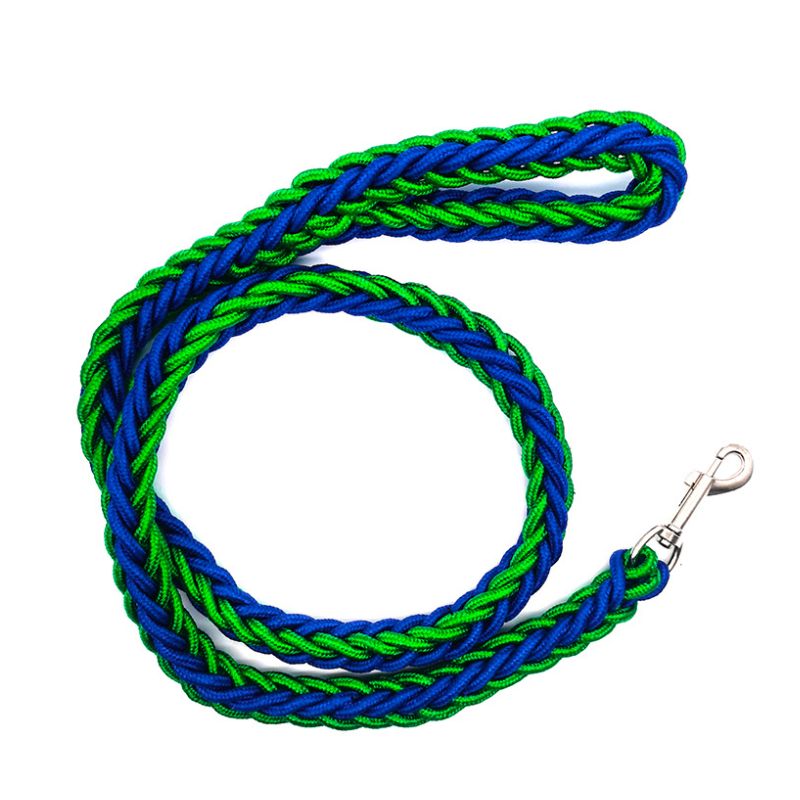 Laisse Chien Vert