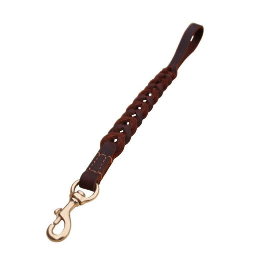 Laisse en Cuir