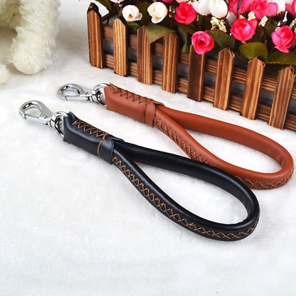 Laisse Chien Cuir