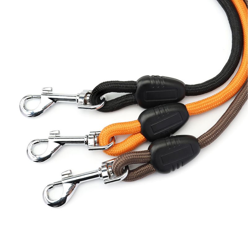 Longe pour Chien Cordon