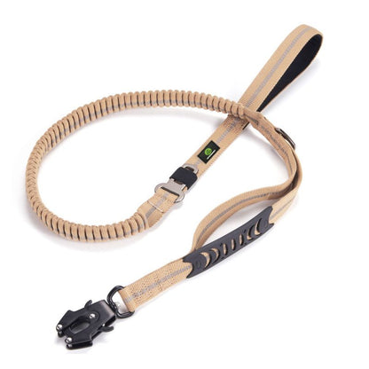 Laisse pour Chien