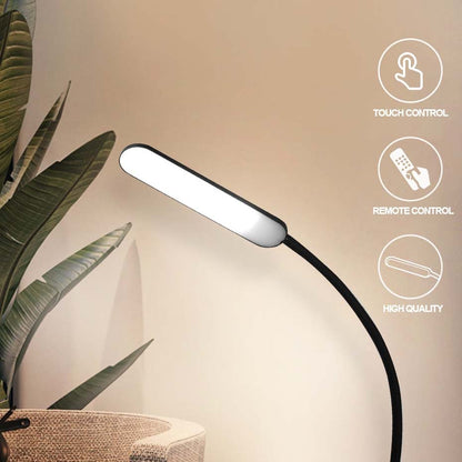 Lampe sur Pied