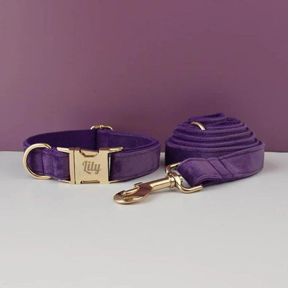Laisse pour Chien Violet