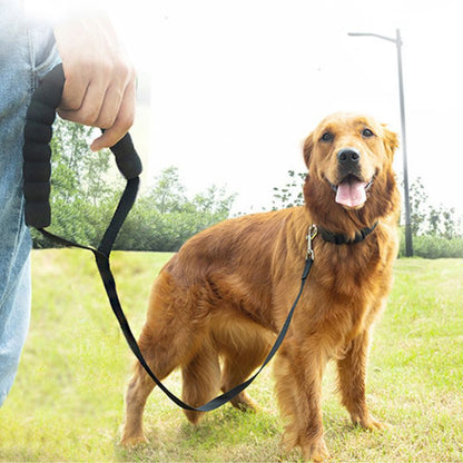 Longe Chien Petit Prix