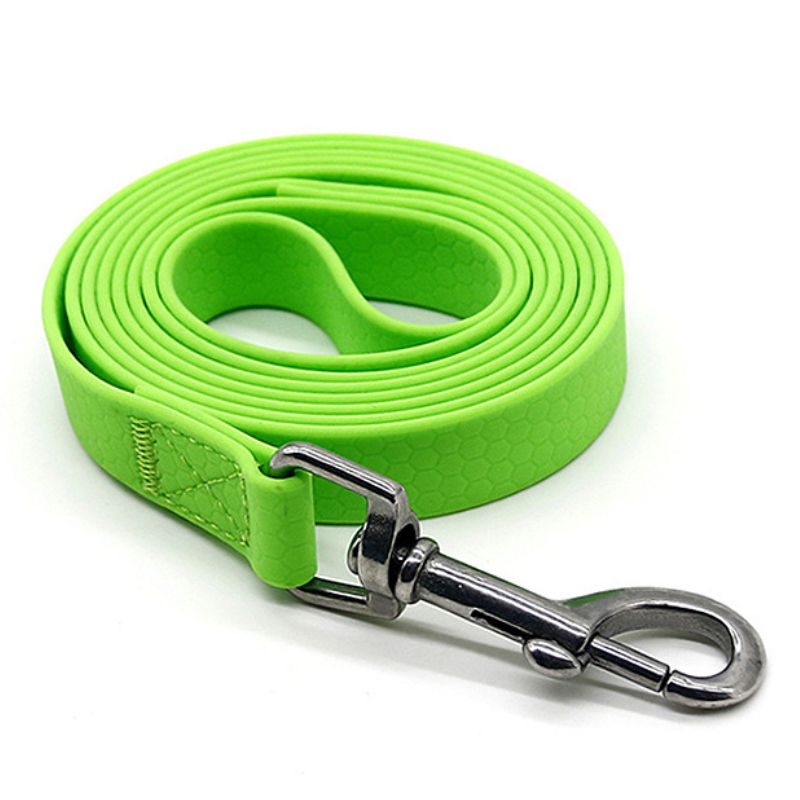 Longe pour Chien