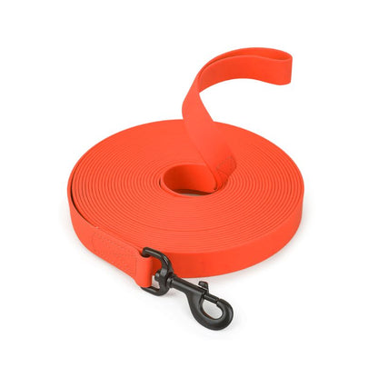 Longe pour Chien