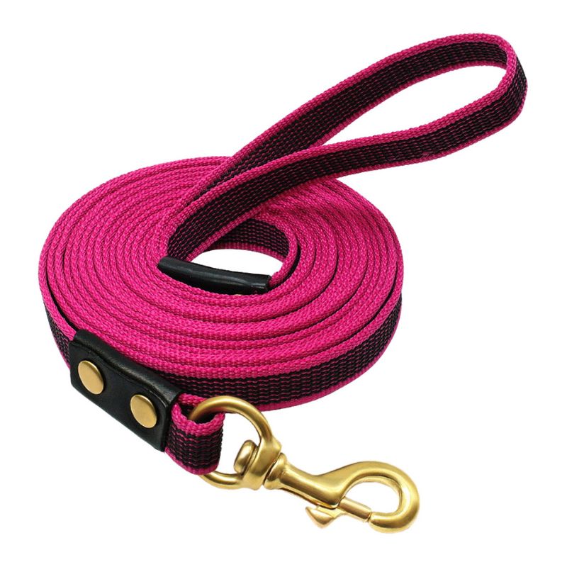 Longe pour Chien Anti Dérapante