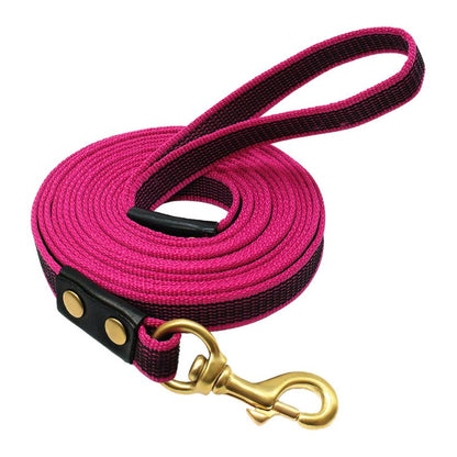 Longe pour Chien Anti Dérapante