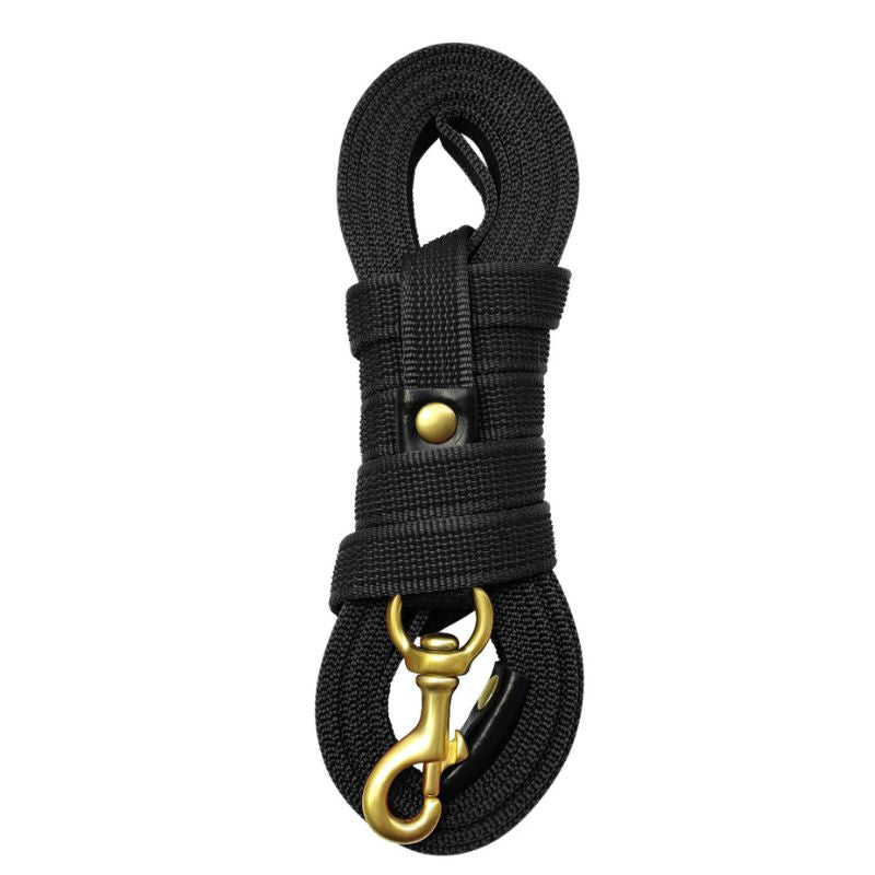 Longe pour Chien