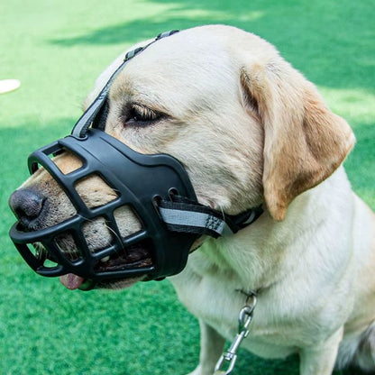 Museliere pour Chien 3 points