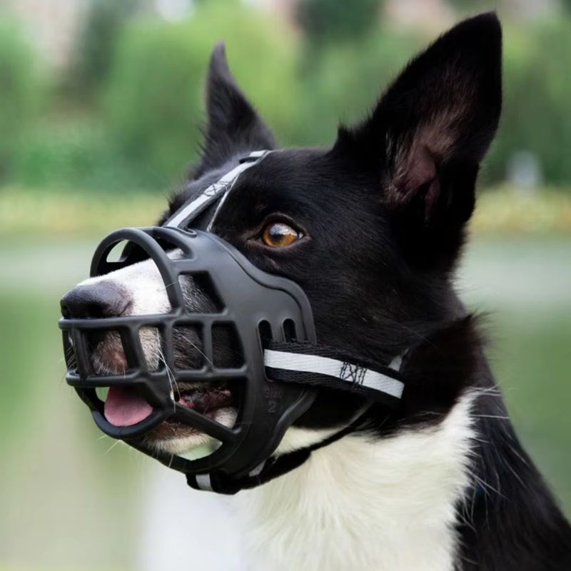 Museliere pour Chien 3 points