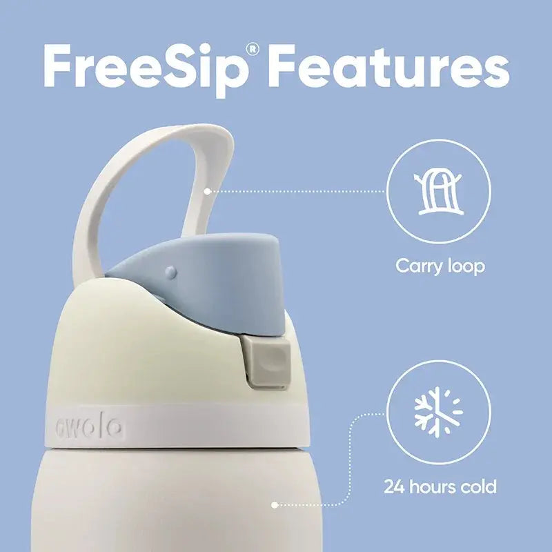 Owala FreeSip Gourde d'Eau Inox 950ml