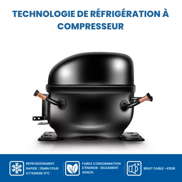 Glacière Électrique Réfrigérante
