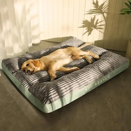 Panier Chien