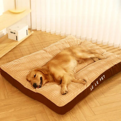 Panier Chien