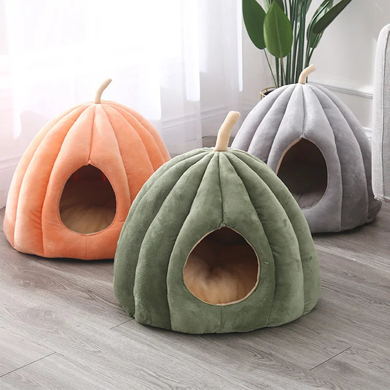 Coussin citrouille chat