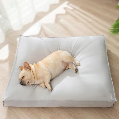 Coussin chien apaisant