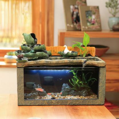 Aquarium Fontaine a Eau