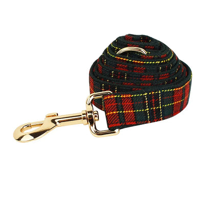 Laisse pour Chien English