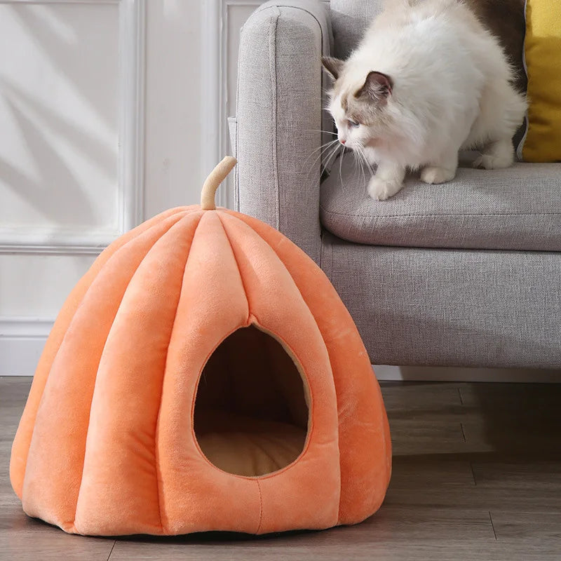 Coussin citrouille chat