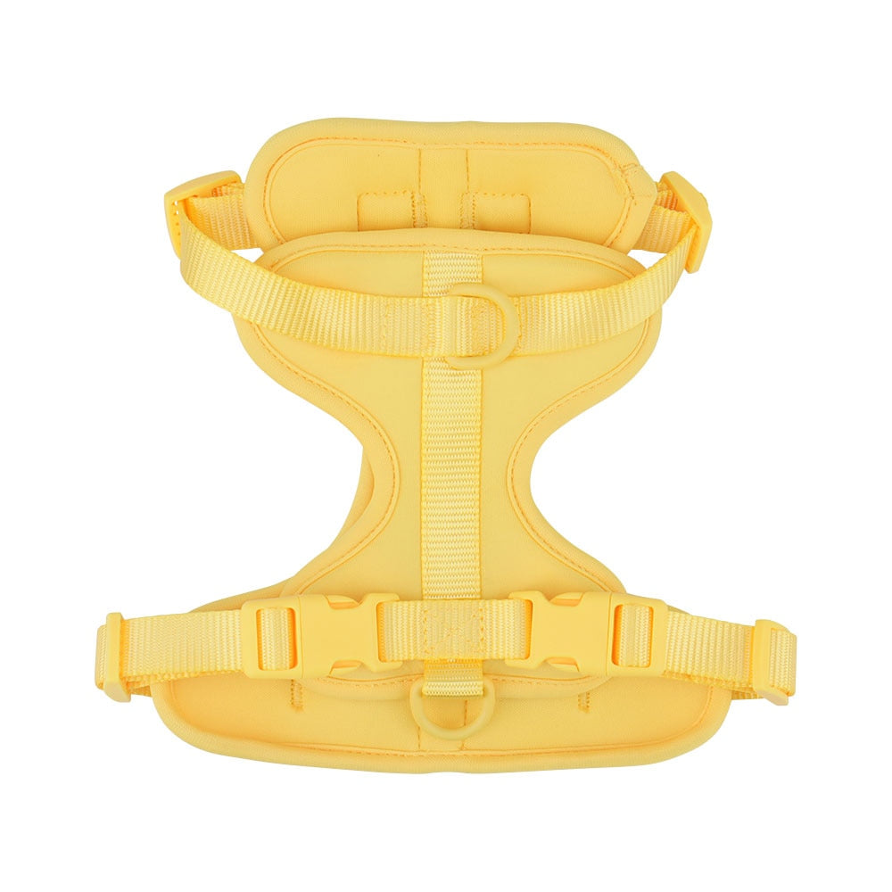 Harnais Chien Anti Traction Leger