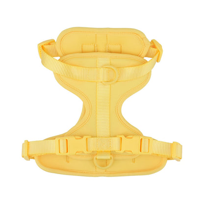 Harnais Chien Anti Traction Leger