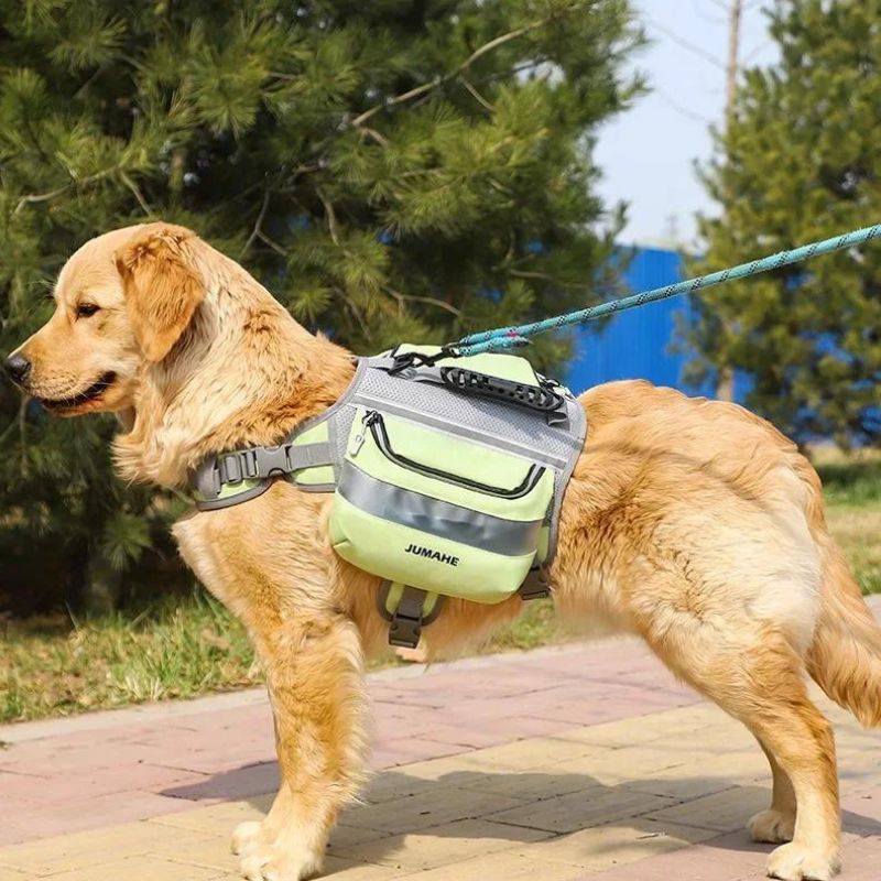 Sac a Dos Chien Randonnée