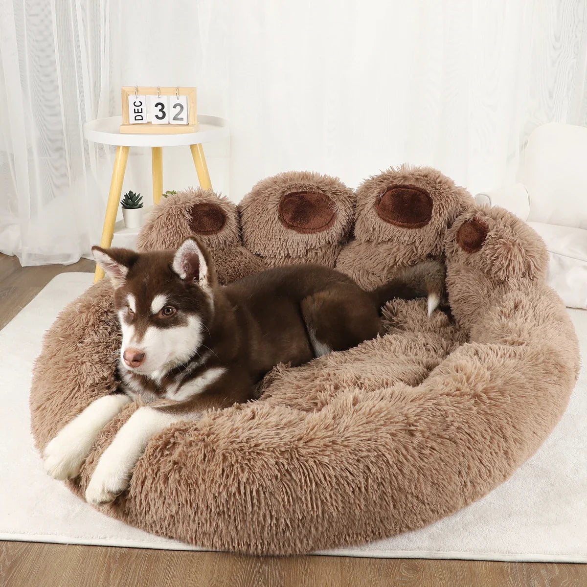 Grand coussin chien