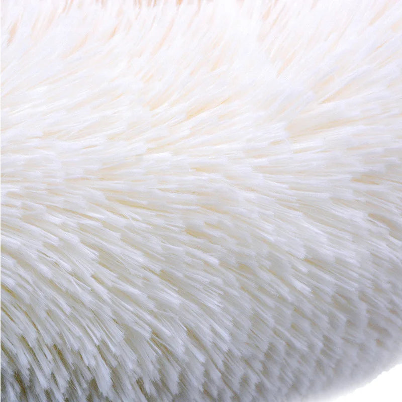 Coussin chien XXL