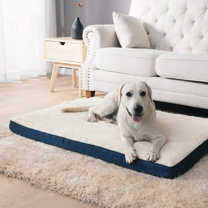Coussin chien mémoire de forme
