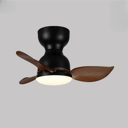 Trailblazer 18 Lumière du ventilateur de plafond