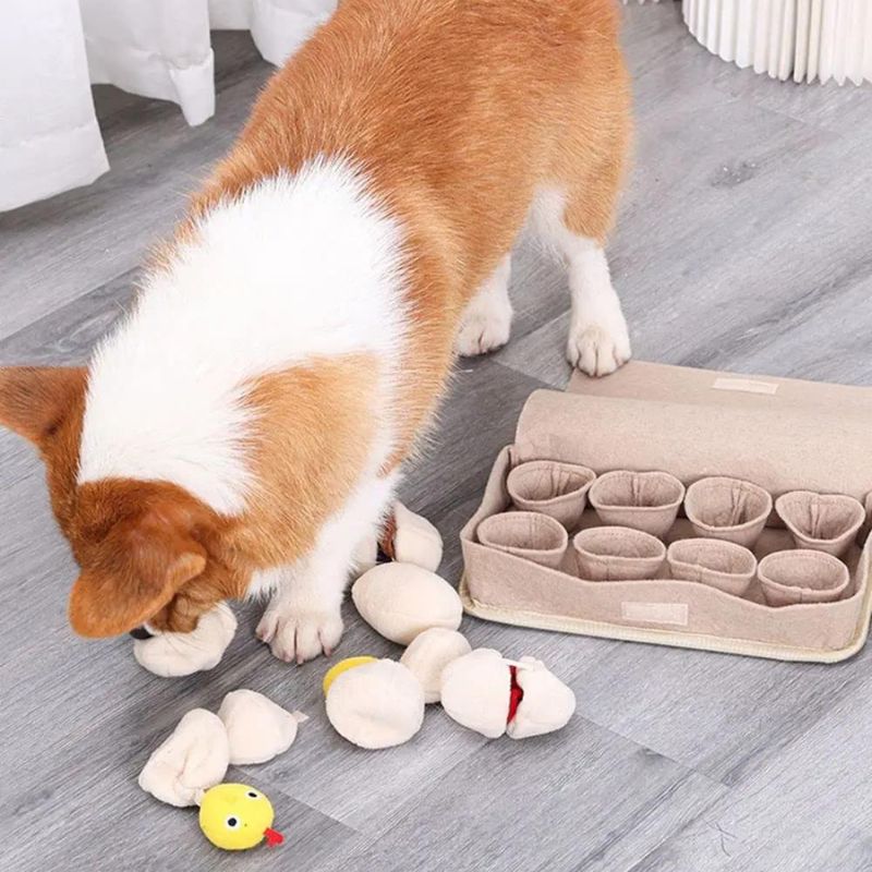 Tapis de Fouille Chien Oeufs