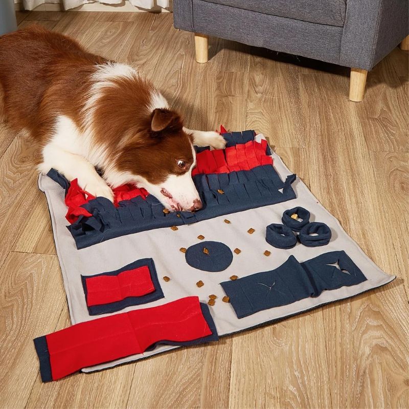 Tapis de Fouille Chien Essential