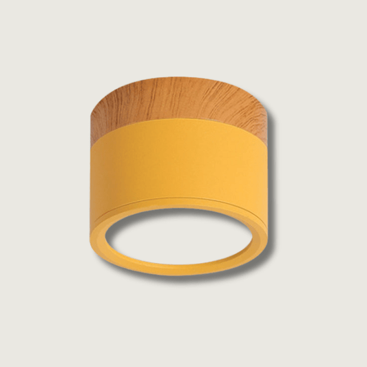 VibrantGlow - Petite lampe de plafond au style élégant