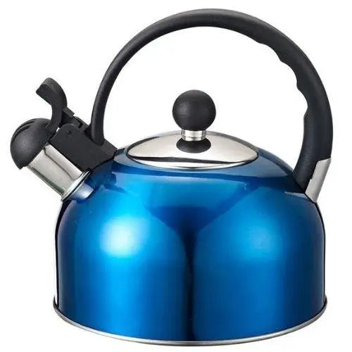 Ancienne Bouilloire Vintage Bleu