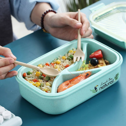 Bento Box Verte